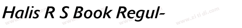 Halis R S Book Regul字体转换